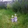 Bio Květinové vody - Bio Levandulová voda 100 ml - 290064