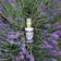 Bio Květinové vody - Bio Levandulová voda 100 ml - 290064