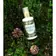 Bio Květinové vody - Bio Borovicová voda 100 ml - 290271