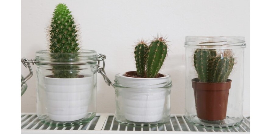 Zero waste PURITY VISION